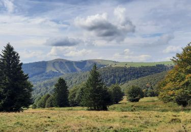 Trail Walking Ranspach - Markstein/Treh,  Breitfist, Oberlauchen, Markstein  - Photo