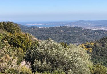 Percorso Marcia La Garde-Freinet - La Garde Freinet - ND Miremer - Photo