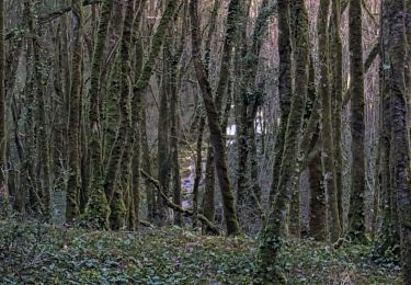 Randonnée Marche Saint-Denis-lès-Martel - Floirac, rive  Dordogne - Photo