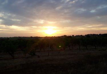 Excursión Senderismo Mozé-sur-Louet - Mozé sur Louet - Photo