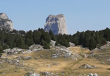 Trail Walking Romeyer - pistou et jas neuf - Photo