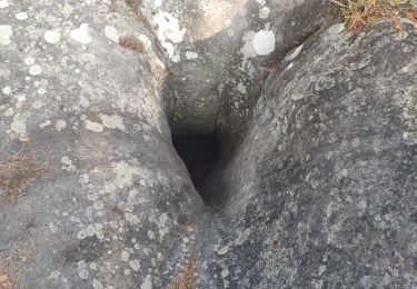 Tocht Stappen Fontainebleau - Fontainebleau : gorge et platière d'Apremont - Photo