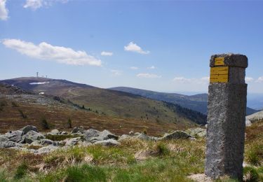 Trail Walking Saint-Pierre-la-Bourlhonne - St_Pierre_Peyre_Mayou - Photo