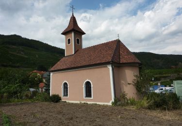 Tocht Te voet Gemeinde Spitz - Welterbesteig Wachau Etappe 4 - Photo