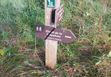 Trail Walking Herlies - Crapahute balisage d'automne 2023 - Photo