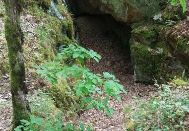 Trail Walking Saint-Barthélemy - St Barthélémy - les mines du Mont de Vannes - Photo