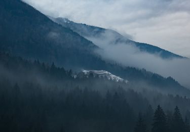 Tour Zu Fuß Sand in Taufers - IT-4 - Photo