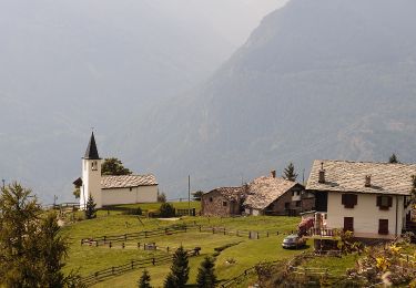 Tour Zu Fuß Saint-Pierre - Sentiero 13 Vétan-Dessus - Rifugio Mont-Fallère - Photo