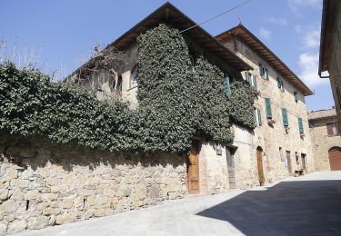 Randonnée A pied Pienza - Monticchiello - Photo