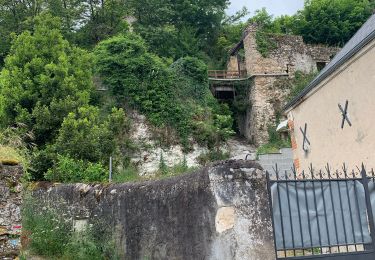 Tocht Stappen Tours (Indre-et-Loire) - VOIE DE TOURS - Tours Monbaeon - Sorigny - Photo