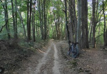 Percorso Mountainbike Saint-Priest - VTT Saint Priest   Vallencin  Chaponnay - Photo
