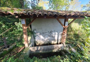 Randonnée Marche Pérouges - Pérouges-La Boucle de Pérouges - Photo