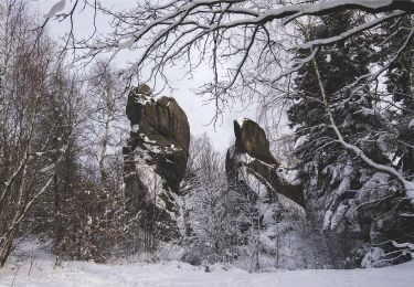 Randonnée A pied Węglówka - Polski Teksas - Ścieżka geologiczna Wzdłuż Czarnego Potoku - Photo