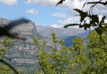 Percorso A piedi Le Rouret - Le Camp romain - Photo