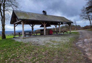 Tocht Stappen Saint-Hubert - Arville 230323 - Photo