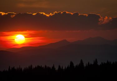 Tocht Te voet  - Rusca - Valea Rusca - Cabana Giumalău - Photo