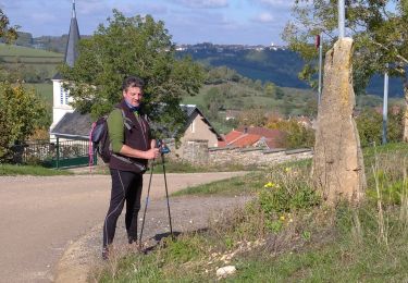 Trail On foot Barbirey-sur-Ouche - barbirey - Photo