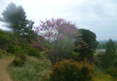 Excursión Senderismo Ornaisons - ORNAISONS - D'Orbieu en Pech - Photo