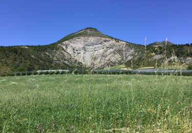 Excursión Bici de montaña Veynes - Cols de Villauret et des Priourets - Photo