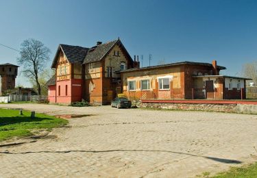 Excursión A pie Strzelin - Strzelin PKP - Jordanów Śl. - Photo