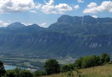 Tocht Elektrische fiets Lumbin - Col des Ayes Theys Hurtieres - Photo