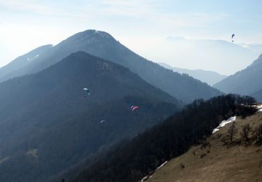 Tour Wandern Sainte-Reine - Mont-Morbié-Ste Reine_2021-03-10 - Photo