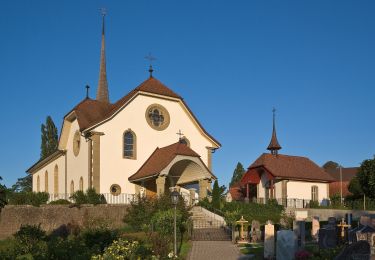 Excursión A pie Bösingen - Bösingen - Schmitten Station - Photo