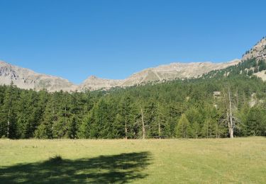 Tour Wandern Saint-Dalmas-le-Selvage - tête de sanguiniere - Photo