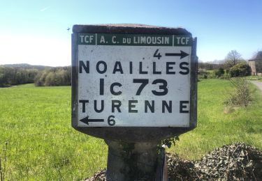 Trail Mountain bike Nespouls - VTT région Collonges-la-Rouge  -  Turenne - Photo