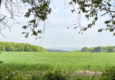 Trail Walking Ormoy-le-Davien - 290422 - Boucle Ormoy le Davien - au dessus de Chavre - Photo
