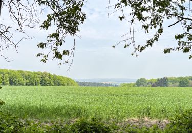 Randonnée Marche Ormoy-le-Davien - 290422 - Boucle Ormoy le Davien - au dessus de Chavre - Photo