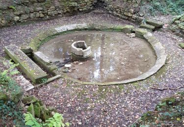 Trail Walking Santeuil - Lavoir de Gouline - Photo