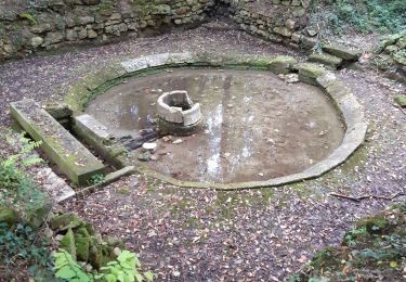 Excursión Senderismo Santeuil - Lavoir de Gouline - Photo