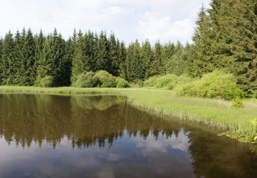 Randonnée A pied Geroldsgrün - Floßteichweg DÖ 90 - Photo