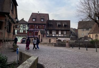 Trail Walking Kaysersberg-Vignoble - Kaysersberg - Photo