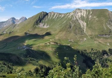 Randonnée Marche Le Grand-Bornand - Pointe percée - Photo