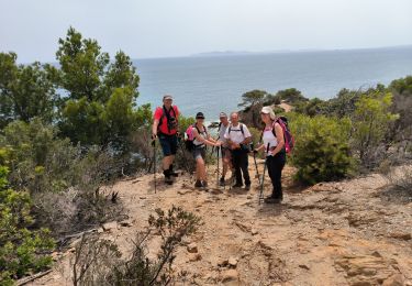 Trail Walking Bormes-les-Mimosas - le trapan - Photo