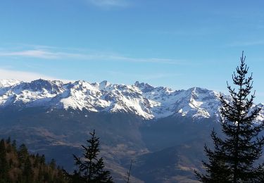 Trail Walking Plateau-des-Petites-Roches - col du coq - Photo