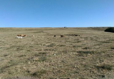 Excursión Senderismo Saint-Chély-d'Aubrac - Rando en boucle entre Aubrac et Nasbinals - Photo