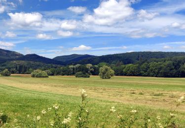 Trail Horseback riding Mollkirch - 2020-07-04 Sortie Nocturne Mollkirch Stotzheim - Photo