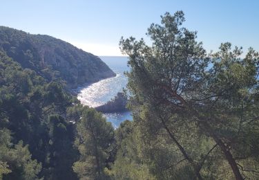 Tocht Stappen Saint-Cyr-sur-Mer - les Lecques Bandol - Photo