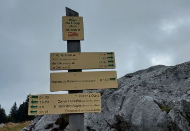 Tocht Stappen Glières-Val-de-Borne - les glieres club - Photo