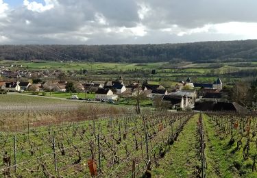 Trail Walking Passy-sur-Marne - Passy-sur-Marne du 25/03/2023 - Photo