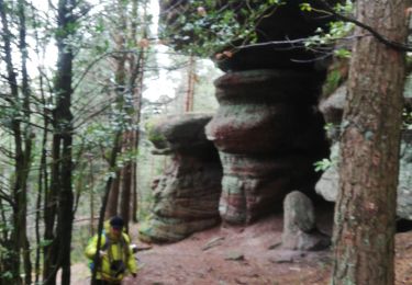 Trail Walking Rombach-le-Franc - Col de Fouchy  - Photo