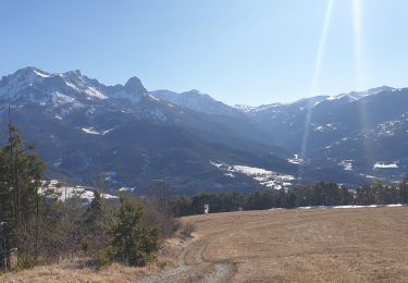 Trail Walking Barcelonnette - La Salce/Pisse Vin/ les allemands - Photo