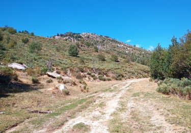 Tour Wandern Latour-de-Carol - La Tour de Carol - Photo