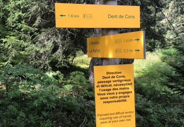 Trail Walking Marthod - La Dent de Cons en boucle - Photo