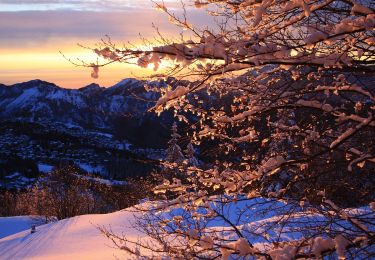 Tocht Te voet Gazzaniga - Sentiero 521: Rova (Gazzaniga) - Monte Cornagera - Photo