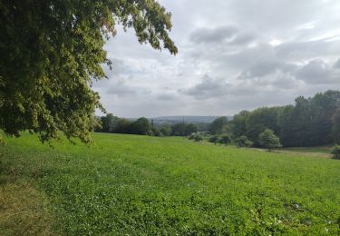 Percorso Marcia Bellou-le-Trichard - Bellou le Trichard - Photo