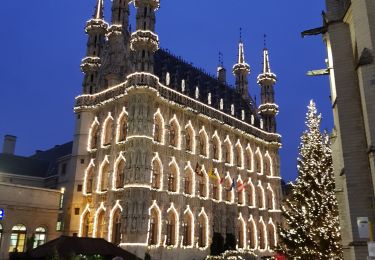 Trail Walking Leuven - Louvain  - visite de la ville - Photo